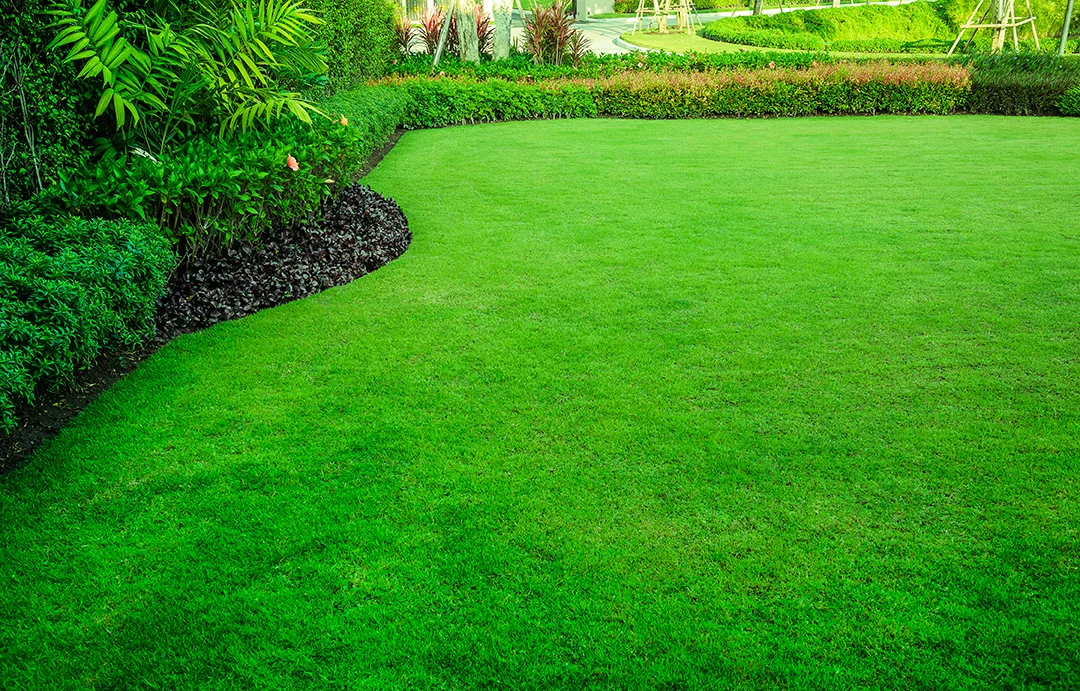 Best Grass Types for Beautiful Brainerd Lakes Lawns