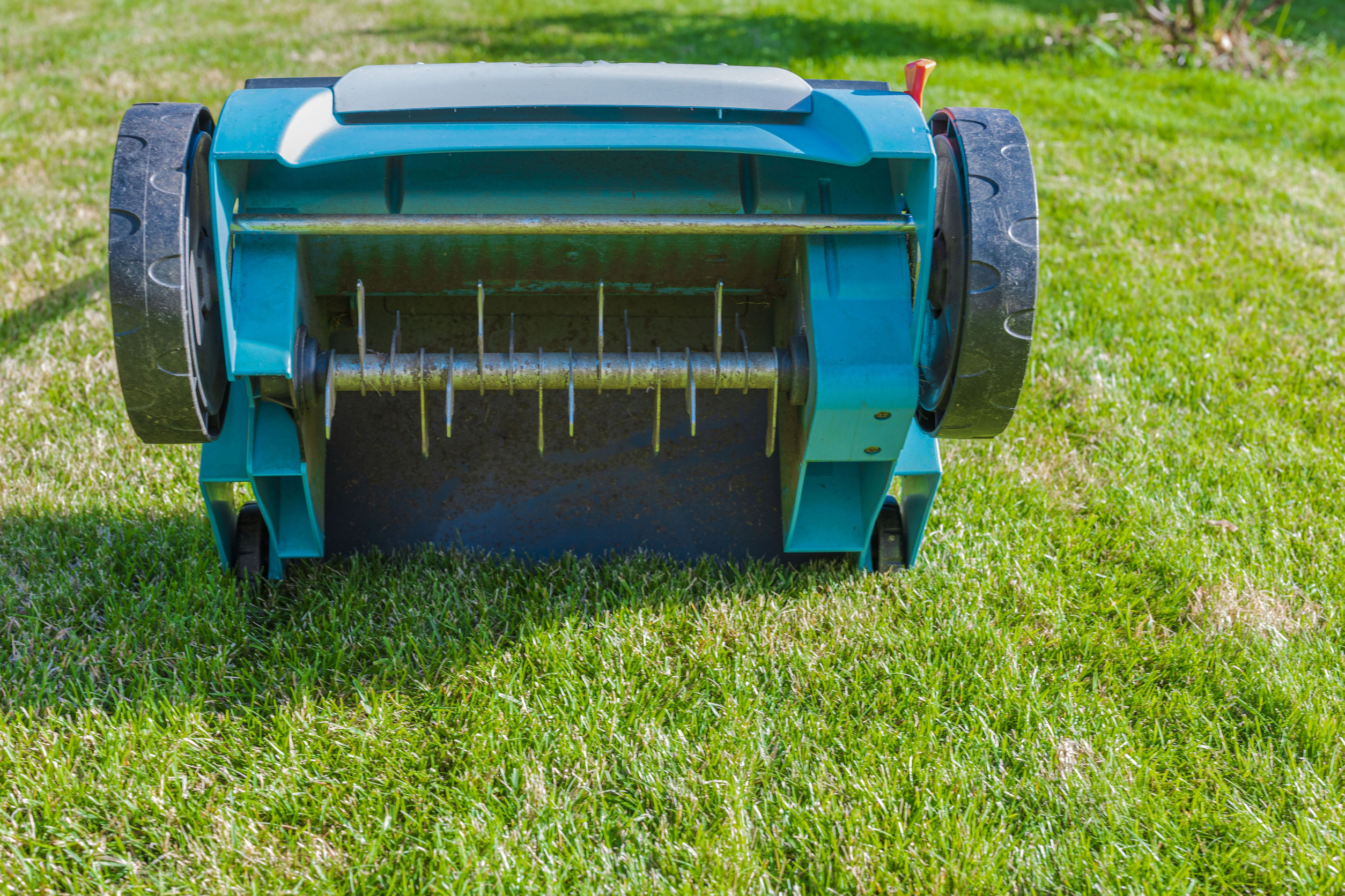 Close-up of a lawn aerator lying on its side on a lush green lawn, showing its tines and wheels. The aerator is turquoise with a grey handle, ready for garden maintenance.