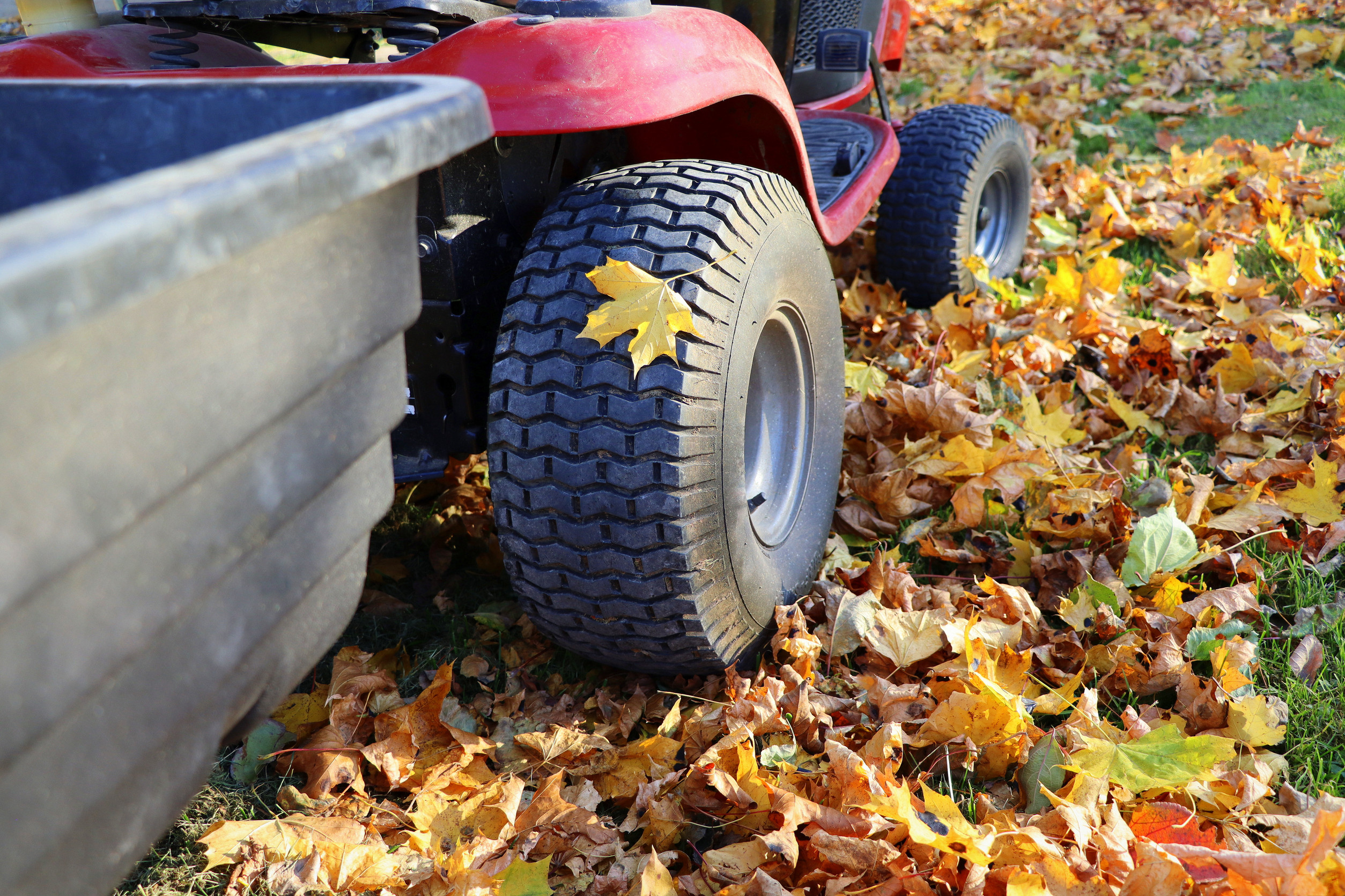 A close-up of a red lawn tractor's rear tire on a lawn covered with autumn leaves. One yellow maple leaf is resting on the tire, with more leaves scattered on the ground around it.