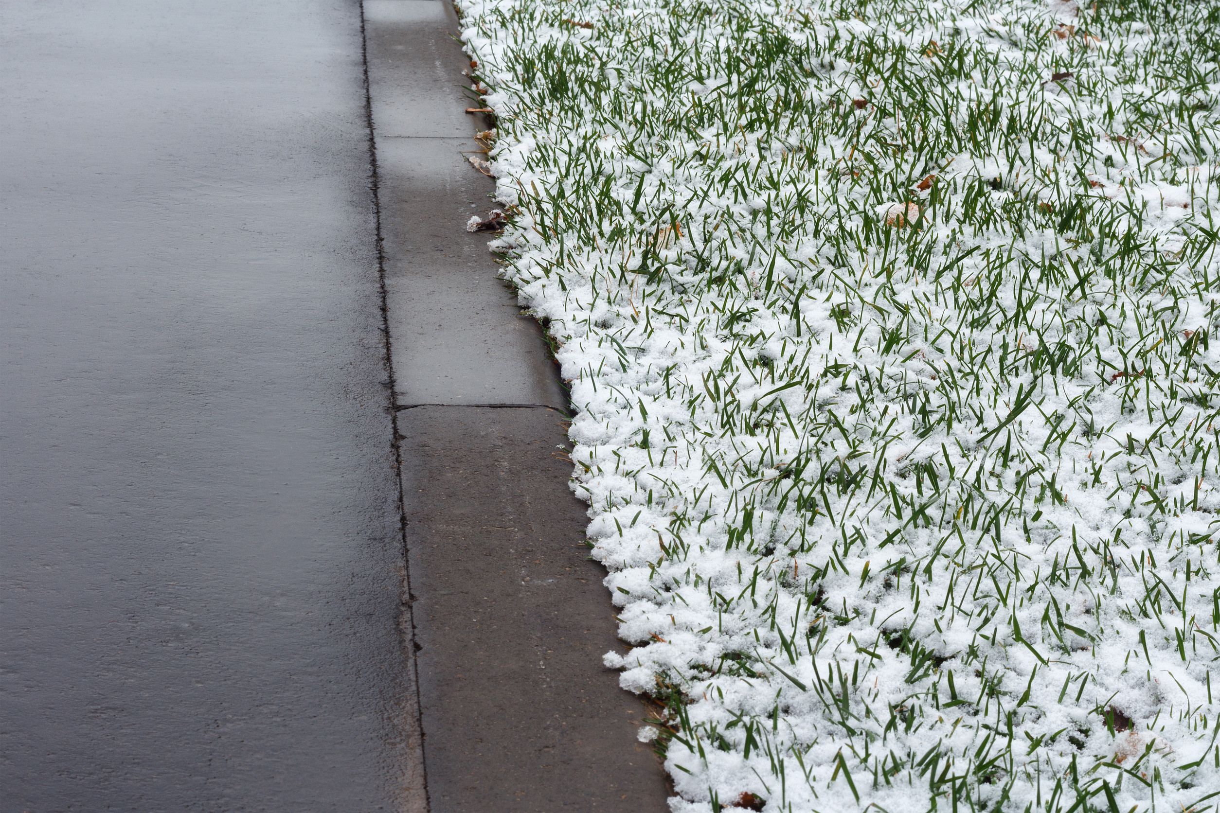 A sidewalk runs alongside a grassy area lightly covered with snow. The green grass is visible beneath the thin layer of snow, while the sidewalk remains clear and wet.