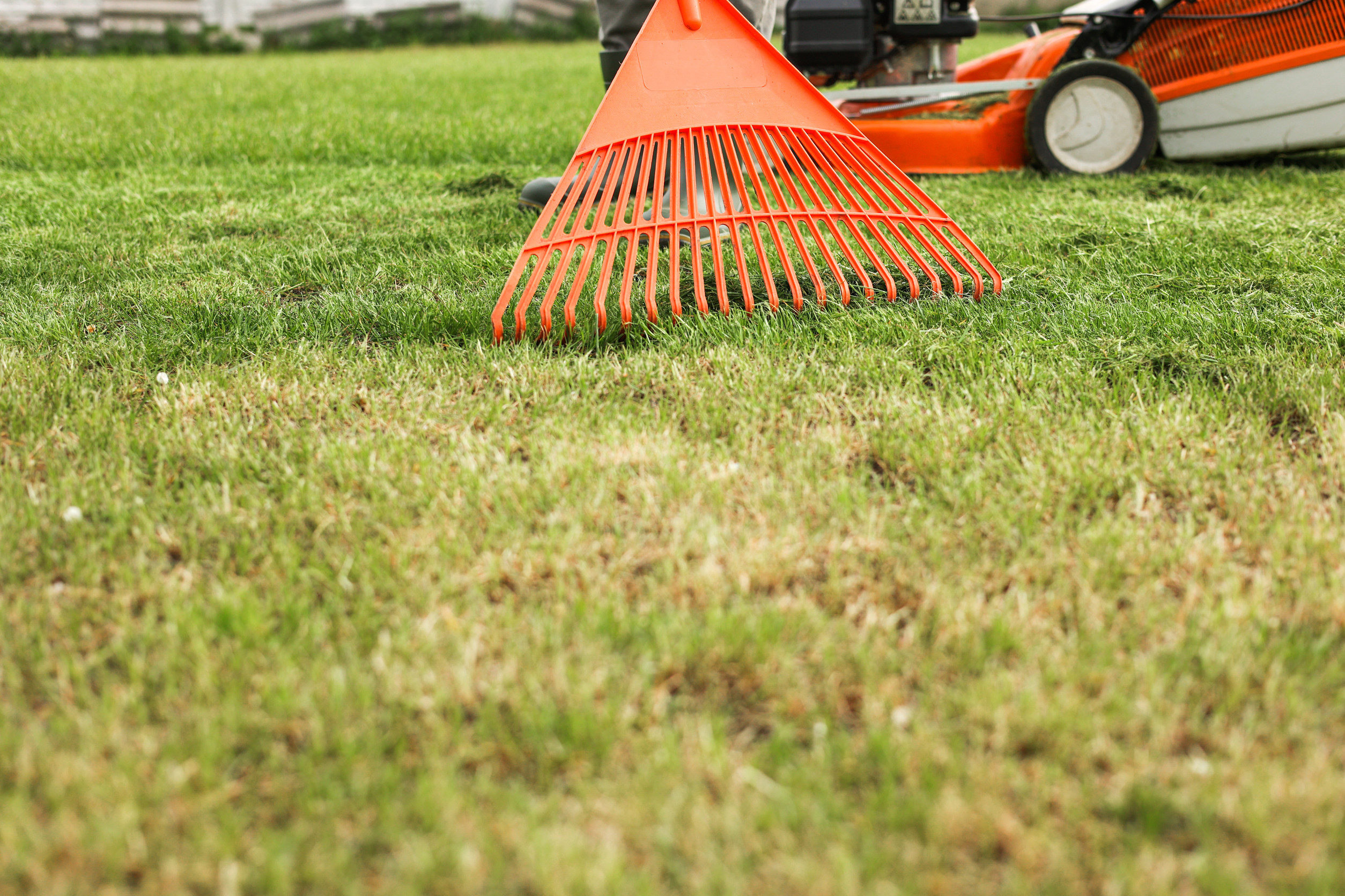 A close-up of a bright orange garden rake on a patchy lawn, with a lawn mower and green grass in the background.