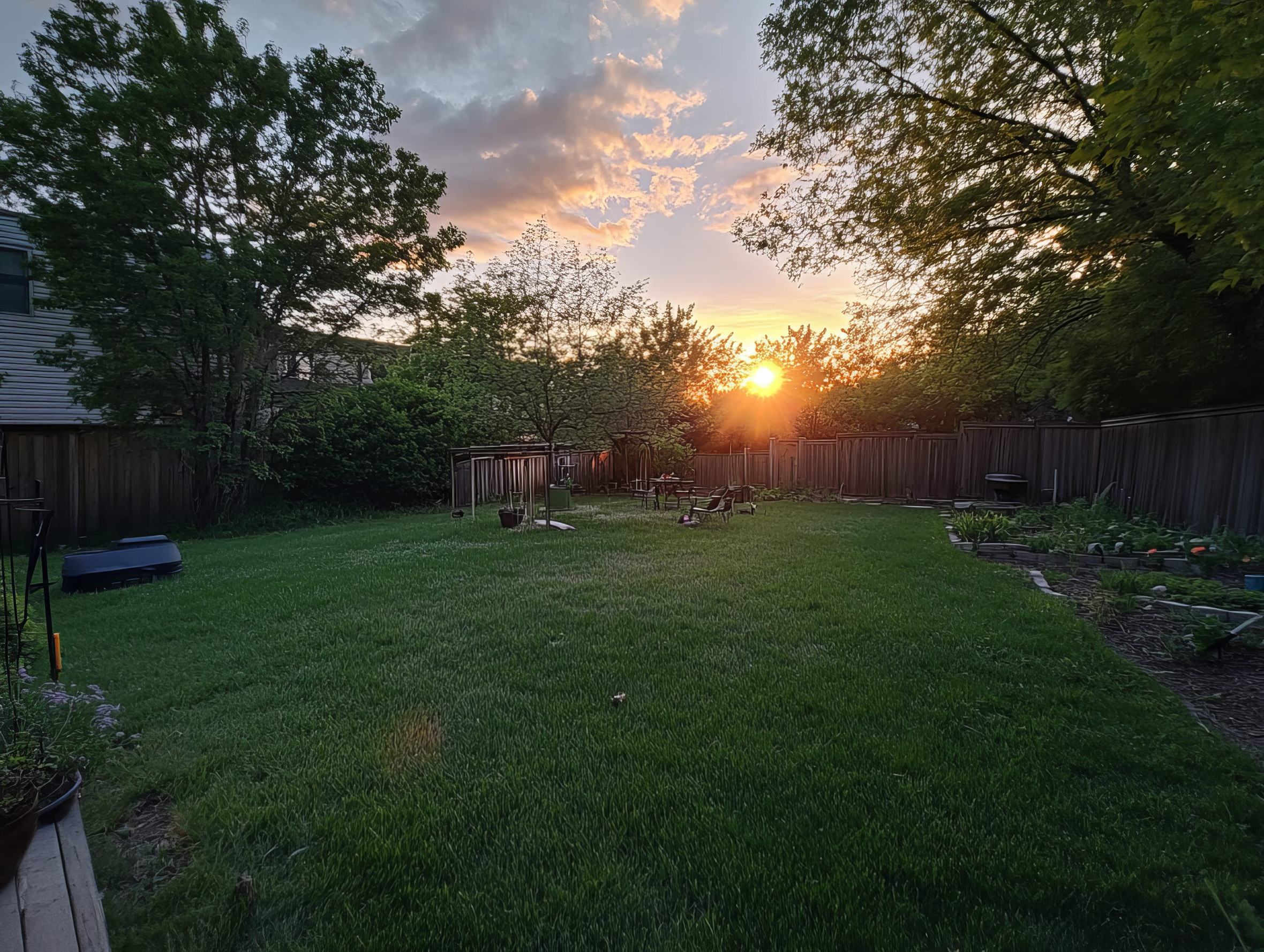 A backyard with green grass, trees, and a wooden fence at sunset. The sun is low on the horizon, casting a warm glow and long shadows across the yard. Some garden beds and a grill are visible.