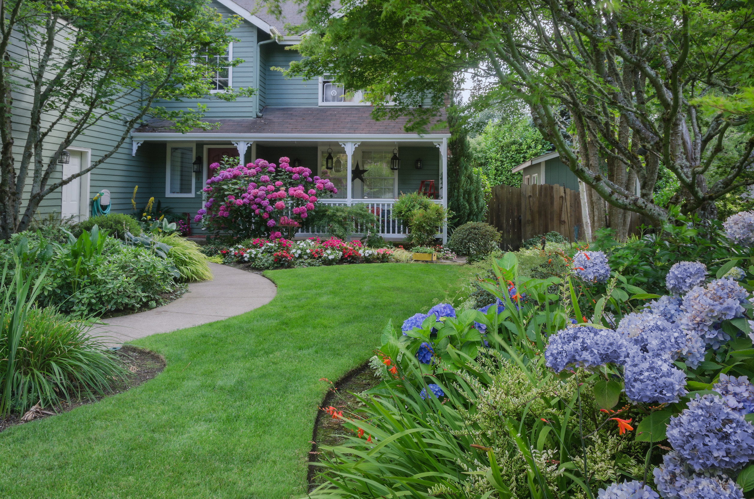 A lush, green front yard with a winding path leads to a blue house with a porch. Colorful flowers and bushes, including pink and blue hydrangeas, fill the well-maintained garden under tall trees.