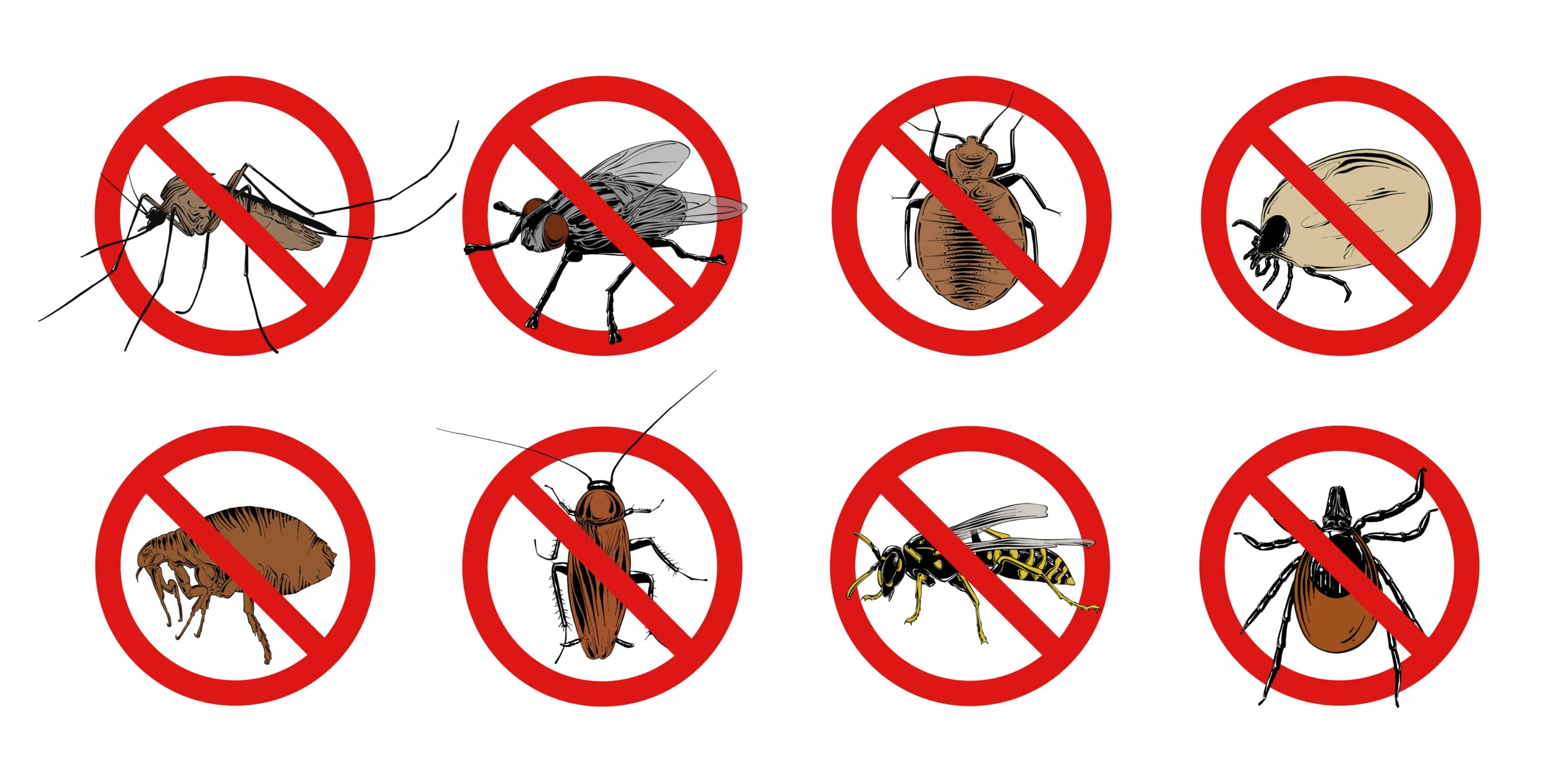 How to Spot Lawn Pests Before It’s Too Late