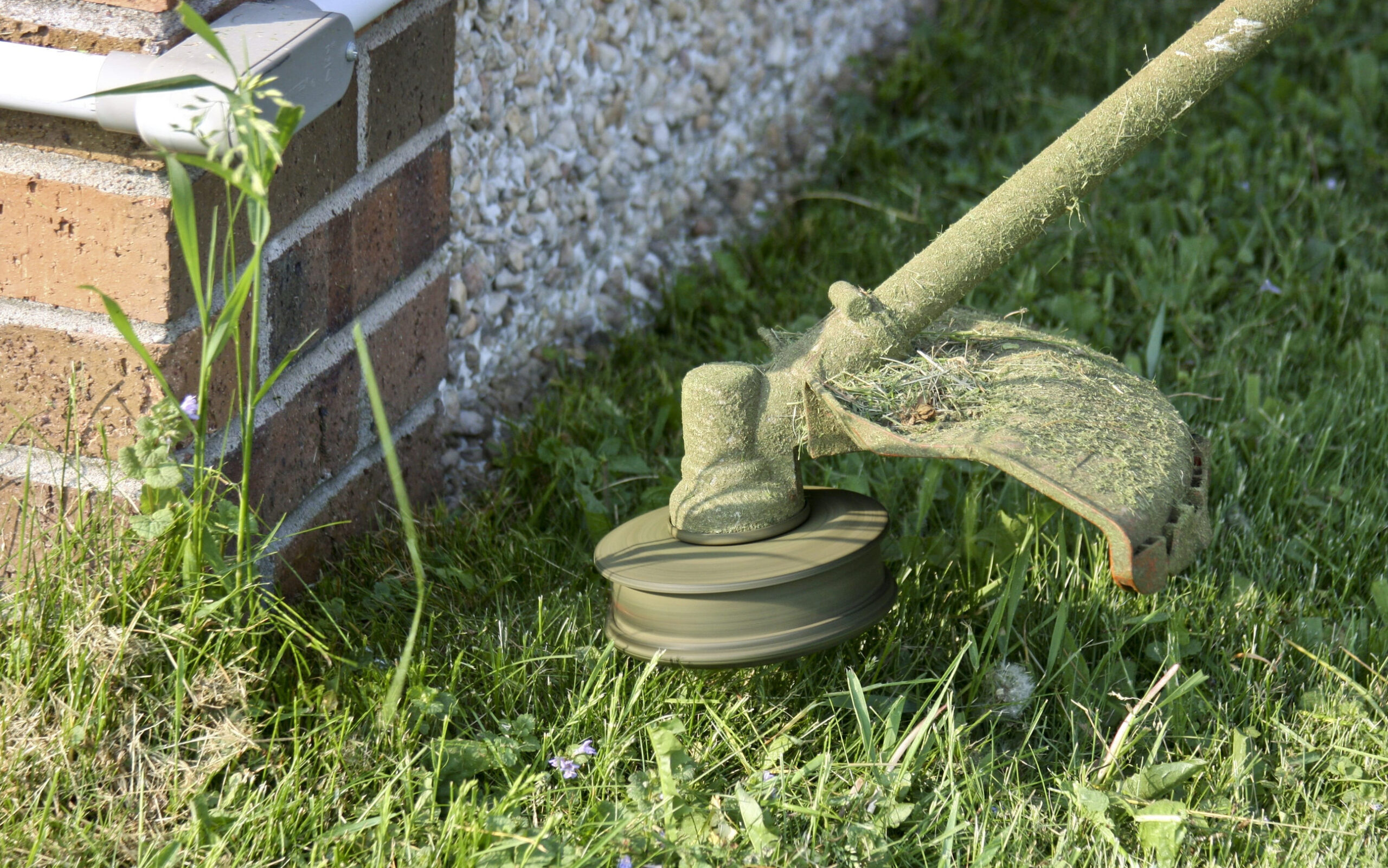 7 Essential Late-Summer Yard Tasks for a Better Fall